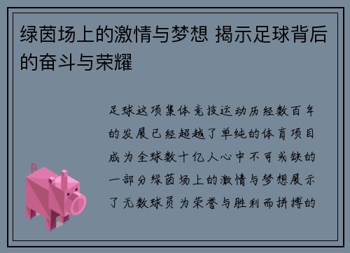 绿茵场上的激情与梦想 揭示足球背后的奋斗与荣耀